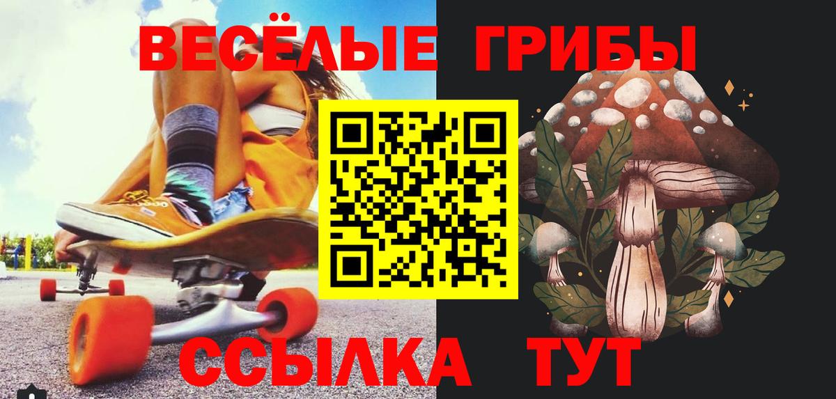 Псилоцибиновые грибы Psilocybe Саянск