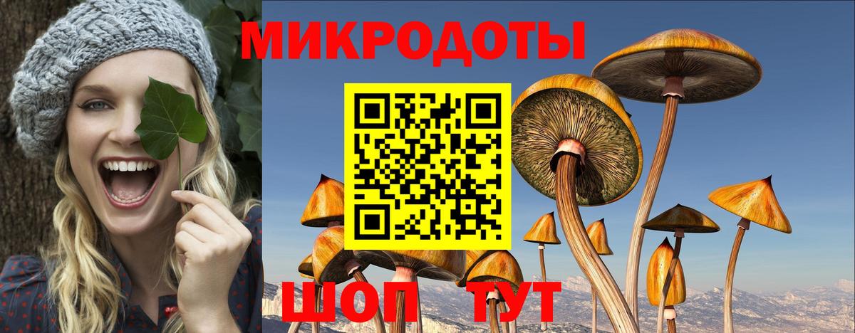 Галлюциногенные грибы Psilocybine cubensis  Вход с VPN  Саянск 
