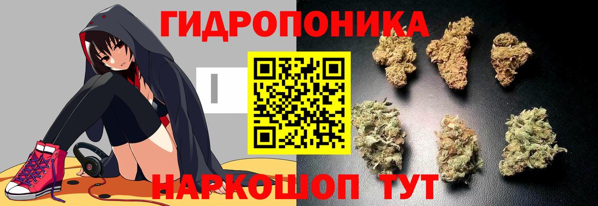 Марихуана сатива  Канабис Ganja  Саянск  Вход с VPN  Конопля ГИДРОПОН  Бошки Шишки марихуана 